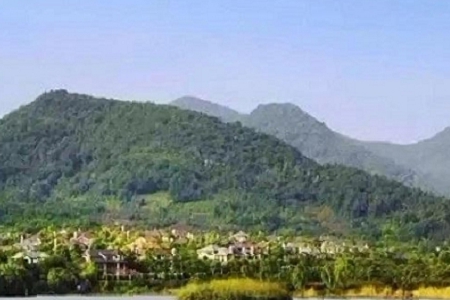 2023�¹�˾ȡ���ִ�ȫ����