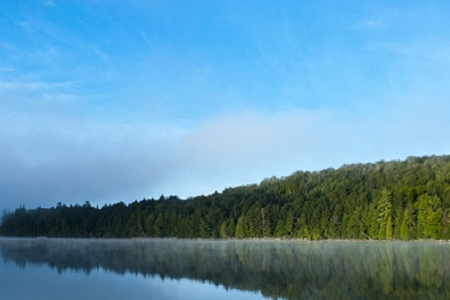 ���̽�����˾ȡ������