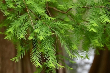 2023��o���Q��˾�����ִ�ȫ