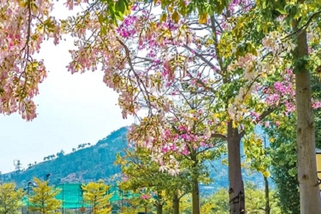 2023����νo��˾����