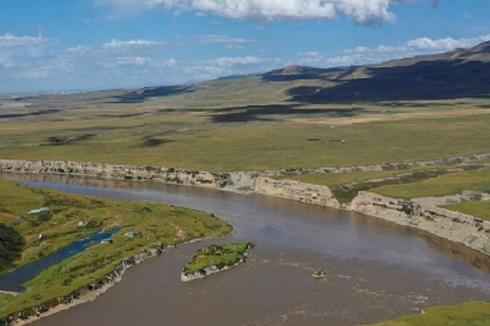 ��˾�������