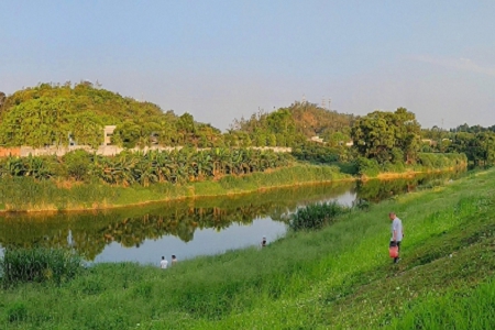 ���^����ɫ�Ĺ�˾���Q