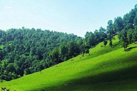 ���Є��⹫˾���ִ�ȫ