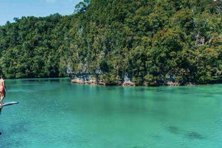 ��˾�������M(f��i)������ȫ