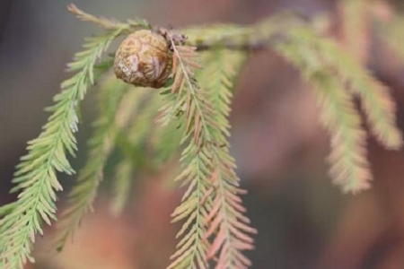 Ԣ��ù�˾ȡ���օ�����ȫ