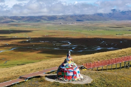 �� �Ĺ�˾���Q����ӡ�����