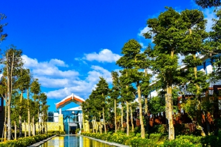 ��(d��)�صĹ�˾���ִ�ȫ20000��(g��)