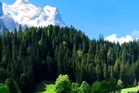 �����I���Qȡ����ȫ��