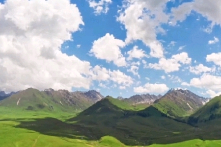 好聽的公司名字大全2023