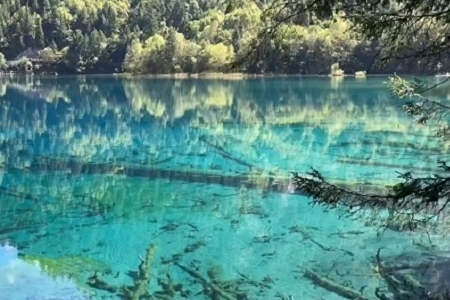 300��(g��)���T�������Ĺ�˾���Q