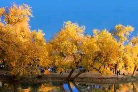 �r���³��Ĺ�˾���Q��ȫ