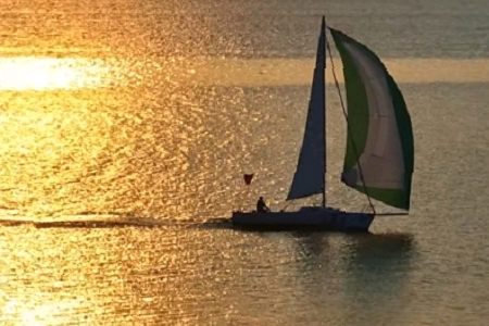 ���ιP���ٵĹ�˾����