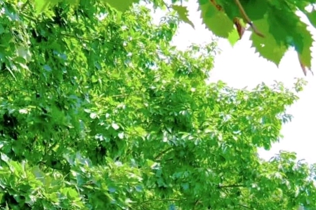 ���؄e��һ��Ĺ�˾����