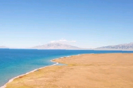 �V���OӋ�Є��������