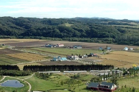 �� ������̄չ�˾������ȫ