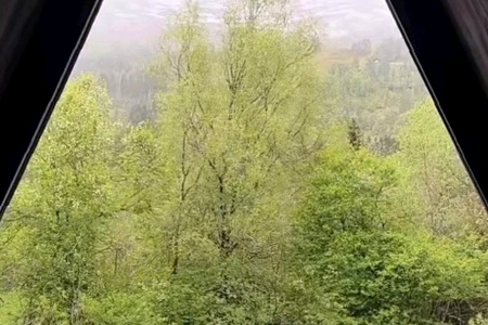 ���^�� �Ĺ�˾����