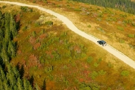 ���¹�˾ȡ���ִ�ȫ����