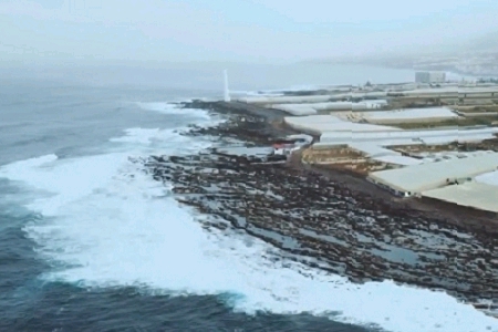 �·f�Ђ�(g��)�ԵĹ�˾���Q��ȫ