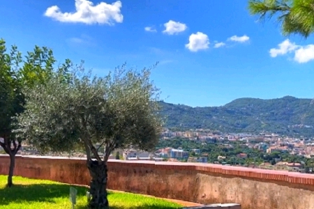 ���������Ĺ�˾���Q����