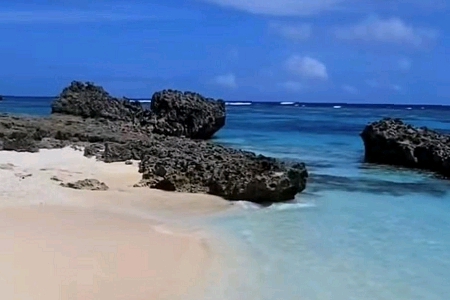 ��˾���Q��ȫ��(ji��n)�δ��