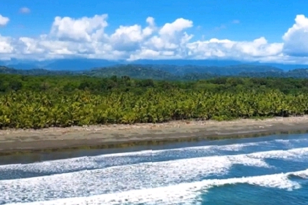 ��(chu��ng)���³���˾���ֲ�����