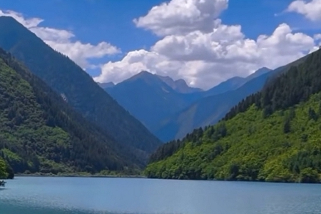 ��˾ȡ���ִ�ȫ���M2024