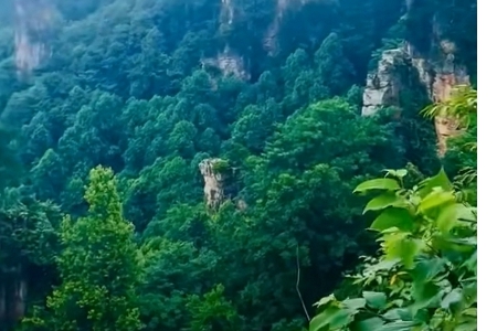 2024�����¹�˾ȡʲô���ֺ���