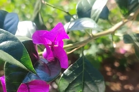 順風(fēng)順水的公司名字