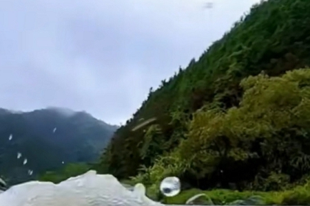 2024�꺆�δ�⹫˾����