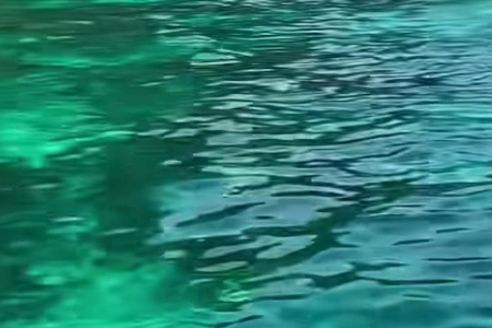 2024��5�¹�˾���Q��ȫ