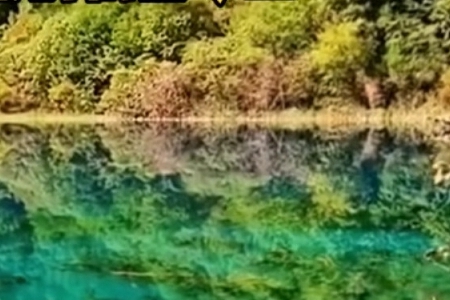 ��˾�߶˴�������