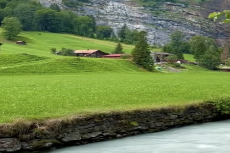 ���𲽵Ĺ�˾����