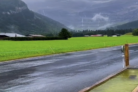 Ԣ��ǰ�����\�Ĺ�˾����