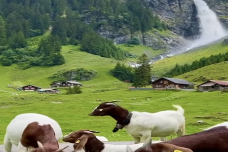 �����ؔ�Ĺ�˾����