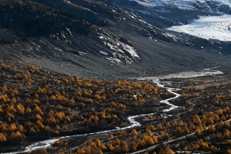 ��˾ȡ���W�����������M