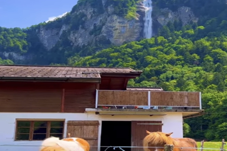 ����ؔ���Q�׹�˾����