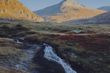 2024�깫˾����������ȫ