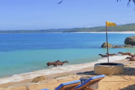 ����ȱ��Ԣ��õĹ�˾����