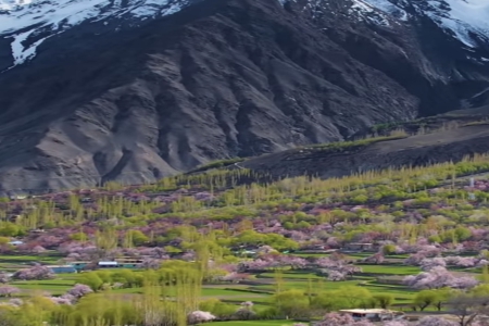 �����ϰ���ֽo��˾����