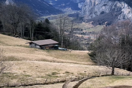 �Є���Ĺ�˾���Q