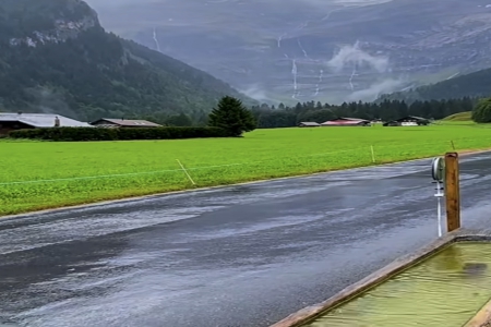 ��˾��������