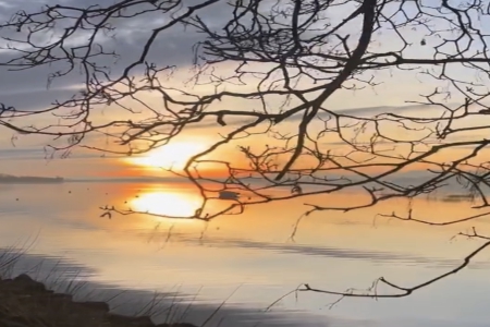 ����b�޹�˾���ִ�ȫ