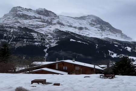 ע�Թ�˾�� �����ִ�ȫ