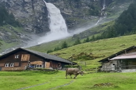 Ԣ��l(f��)ؔ(c��i)�dʢ�Ĺ�˾��