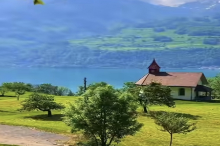 ���ֹ�˾���Q��ȫ���δ��