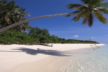 ����Ԅ���˾���ִ�ȫ