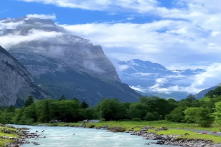 2025�����c�Ĺ�˾���Q