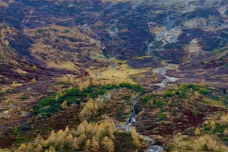 Ԣ��õĹ�˾���Q��ȫ