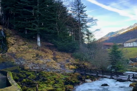 �߶�혿ڹ�˾���ִ�ȫ