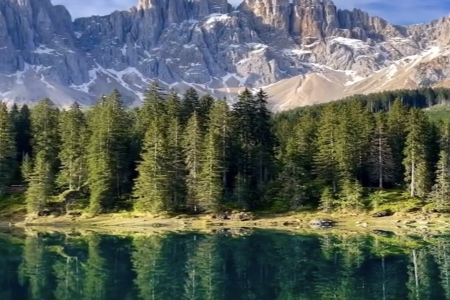 �¹�˾��ôȡ����